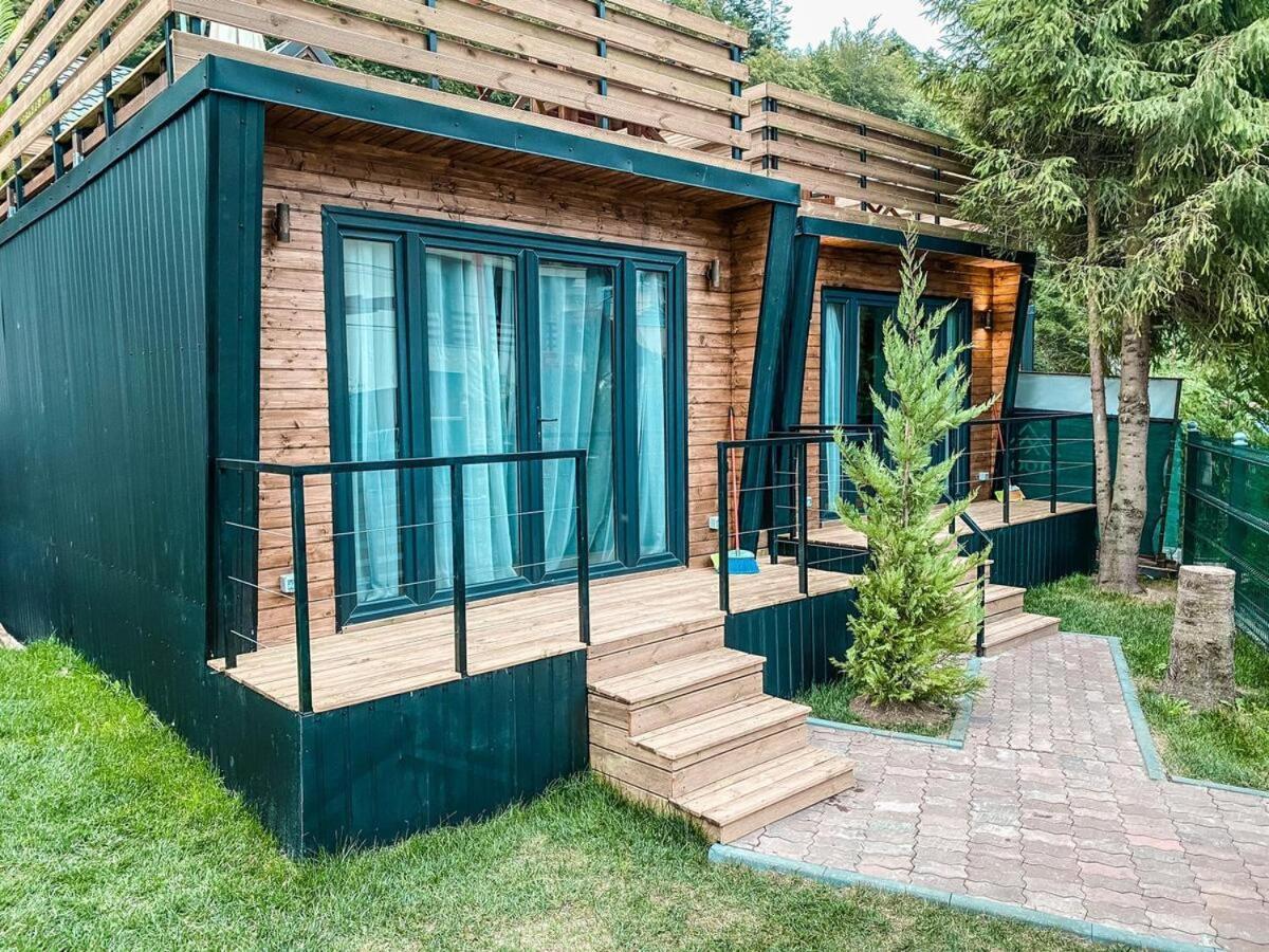 Moon Montana Buşteni Exterior foto