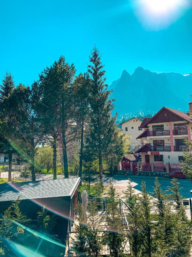 Moon Montana Buşteni Exterior foto